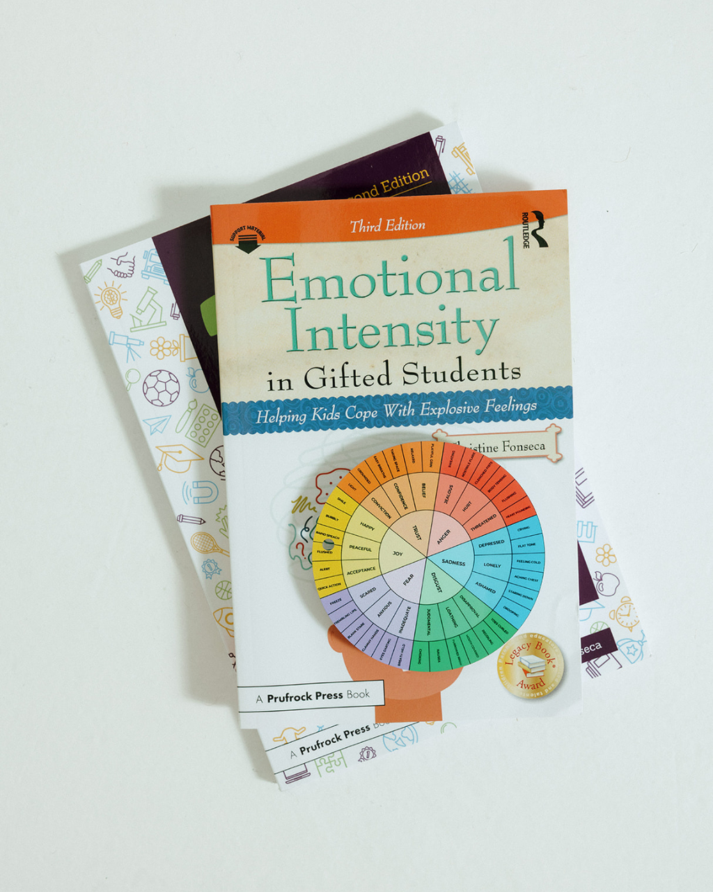 Emotional Intensity in Gifted Students: Helping Kids Cope With Explosive Feelings (3rd Ed)