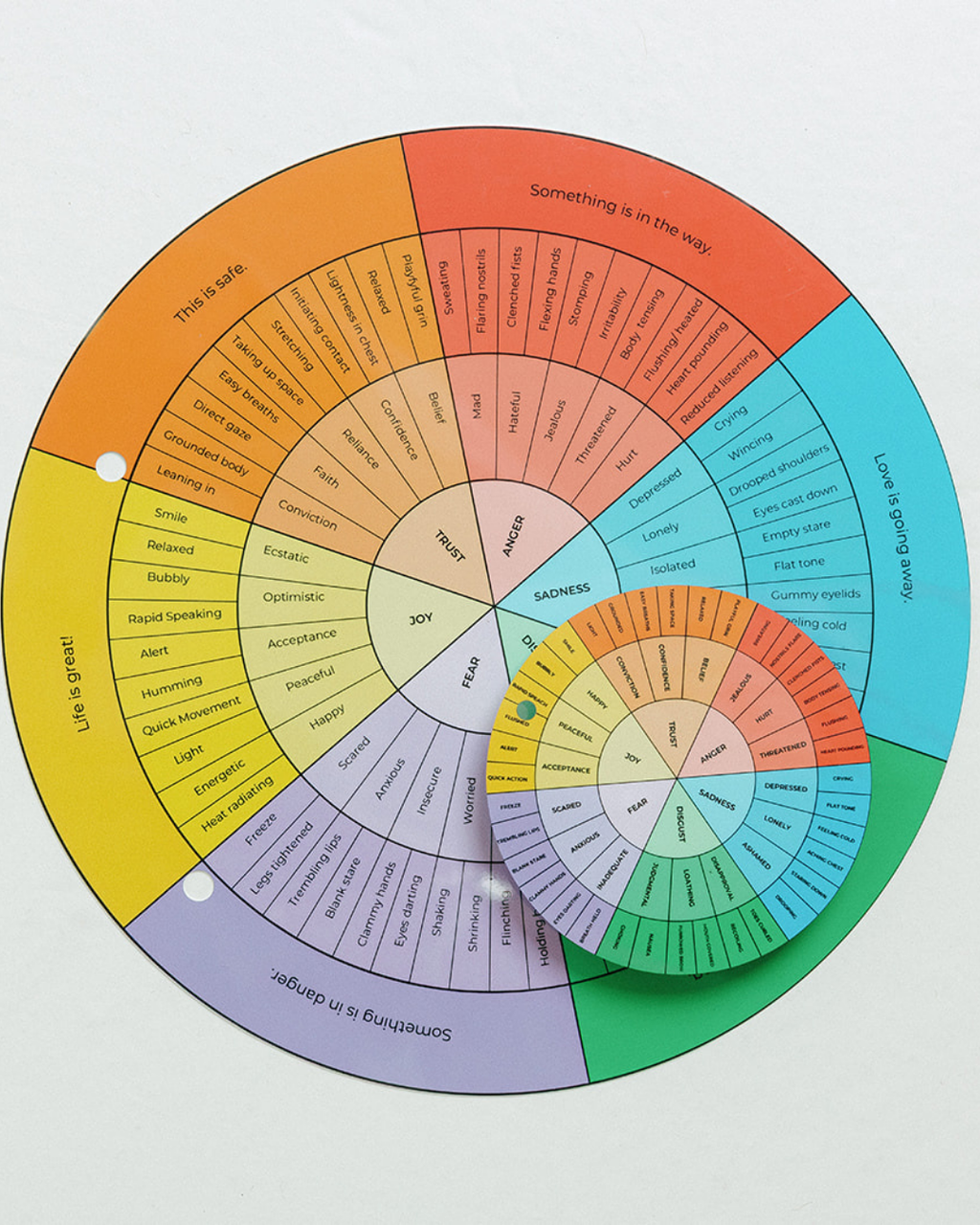 The Embodied Compass™: A Somatic Tool for Soul-Centered Emotional Literacy