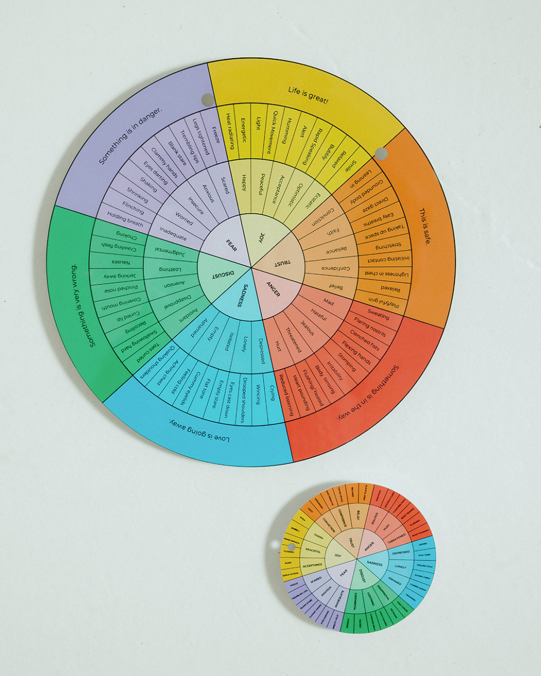 The Embodied Compass™: A Somatic Tool for Soul-Centered Emotional Literacy