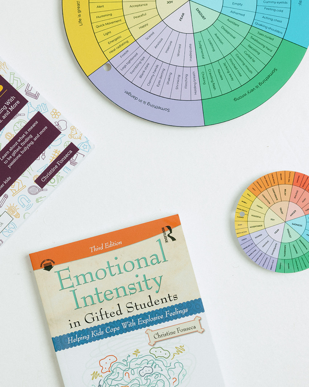 The Embodied Compass™: A Somatic Tool for Soul-Centered Emotional Literacy